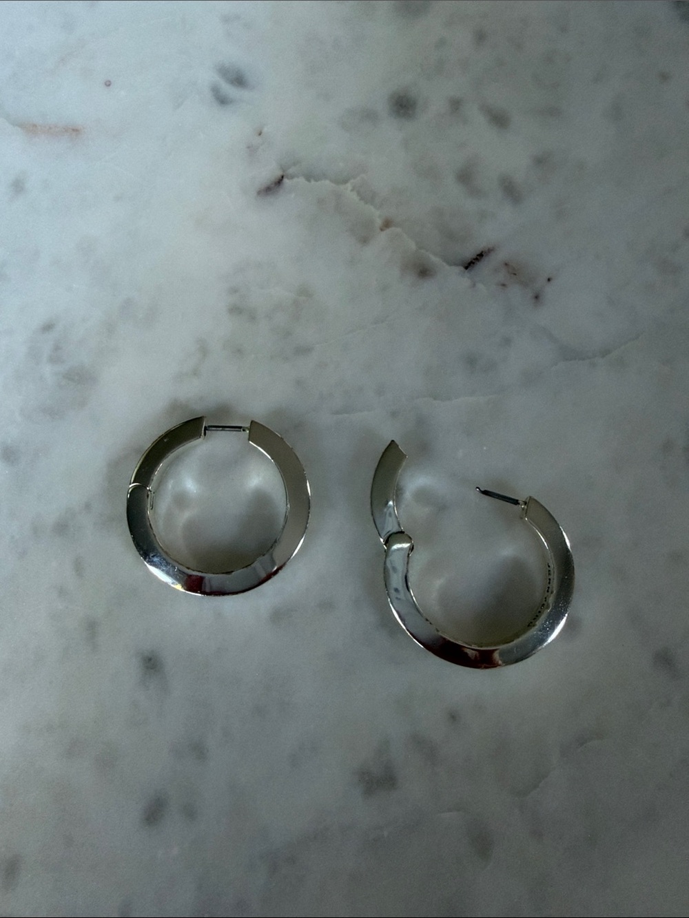 Jenny Bird Silver Hoop Earrings